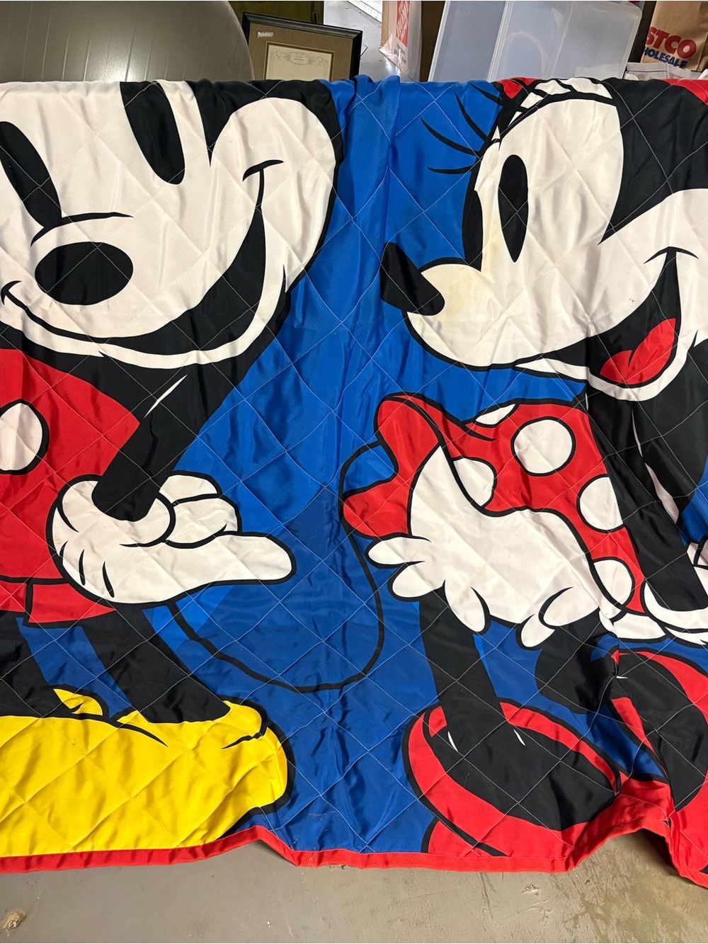 Mickey & Minnie picnic blanket